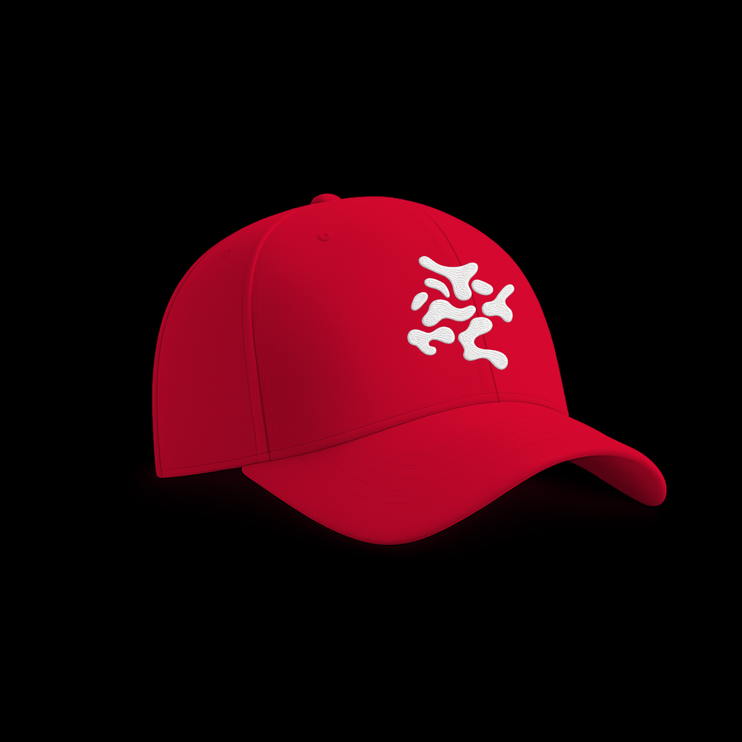 CAP EMBROIDERY